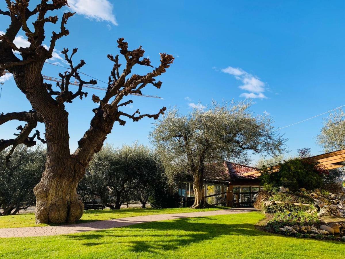 Agriturismo Le Tese Colà Zewnętrze zdjęcie